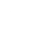 Strategic and Feasibility